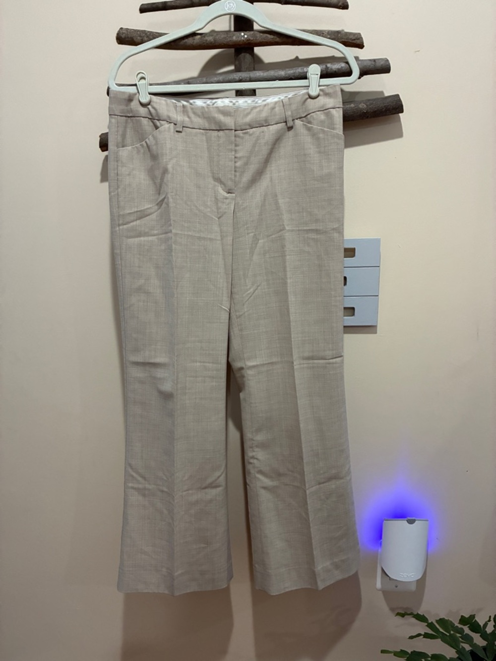 Express Women's Light Beige Wide-Leg Dress Pants